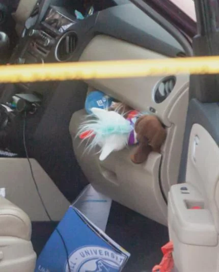 Toys found inside Renee Nicole Good's car after her tragic death on January 7, 2026 | Source: Facebook/Amy Siskind