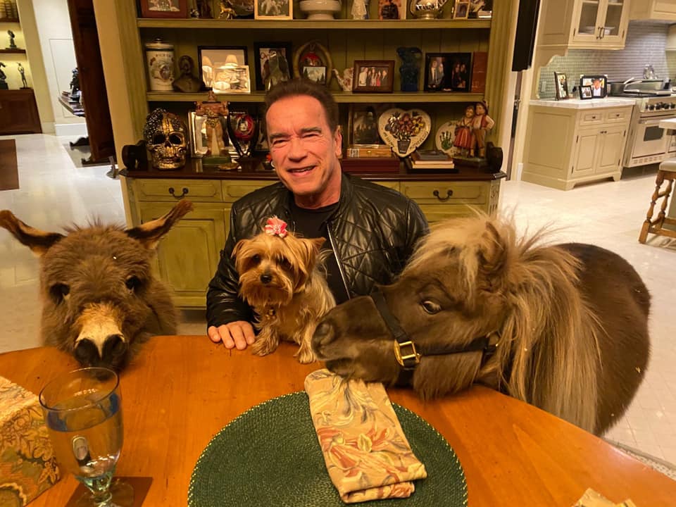 Arnold Schwarzenegger sits at the table with his dog, miniature horse, and donkey in a photo posted on January 14, 2020 | Source: Facebook/arnold