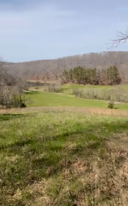 A wide view shows green fields stretching toward wooded hills, with a small body of water visible in the distance. The landscape reveals another side of the countryside beyond the main residence. | Source: Youtube/Wynonna