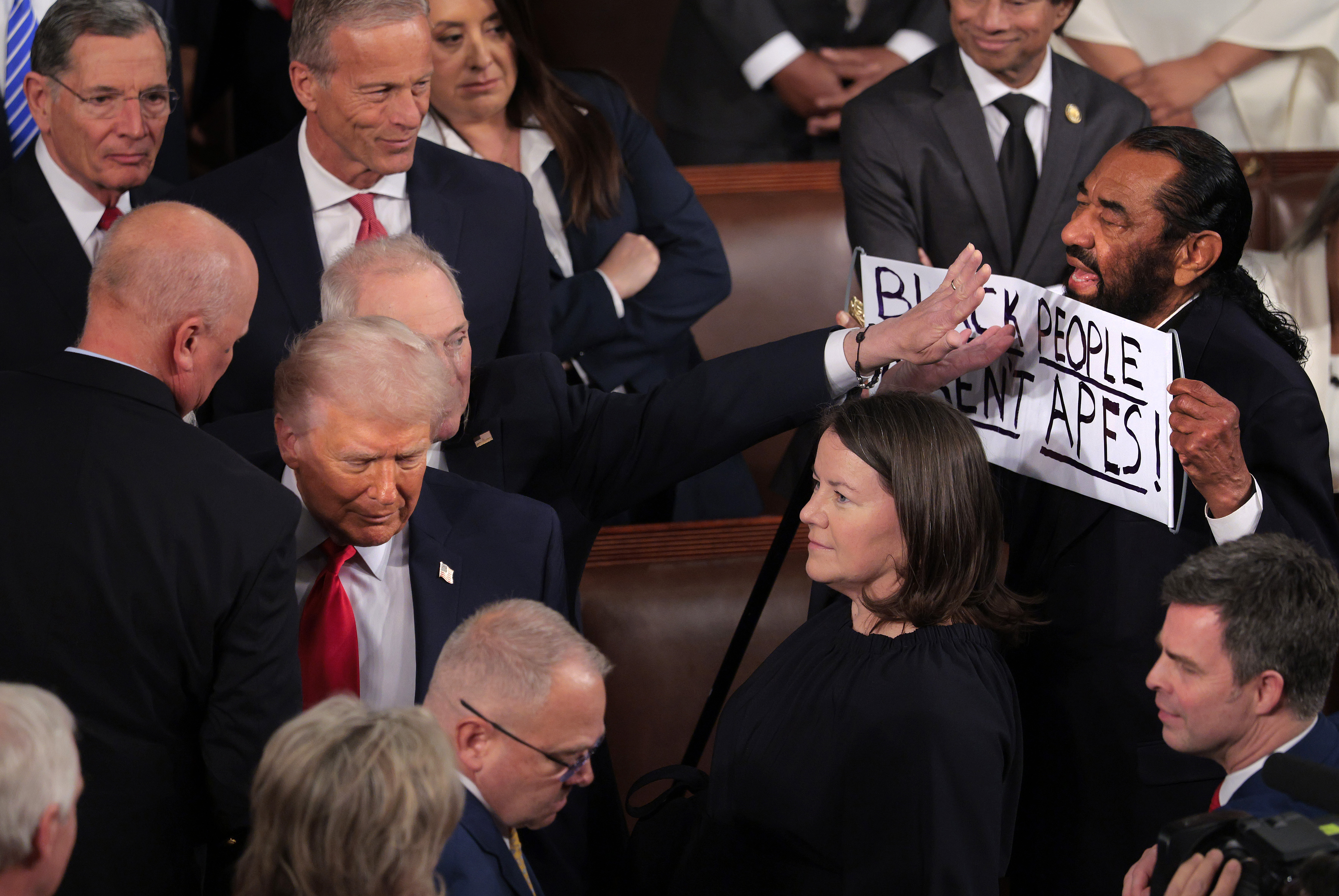 Rep. Al Green (D-TX) holds a sign at President Trump's State of the Union address. | Source: Getty Images