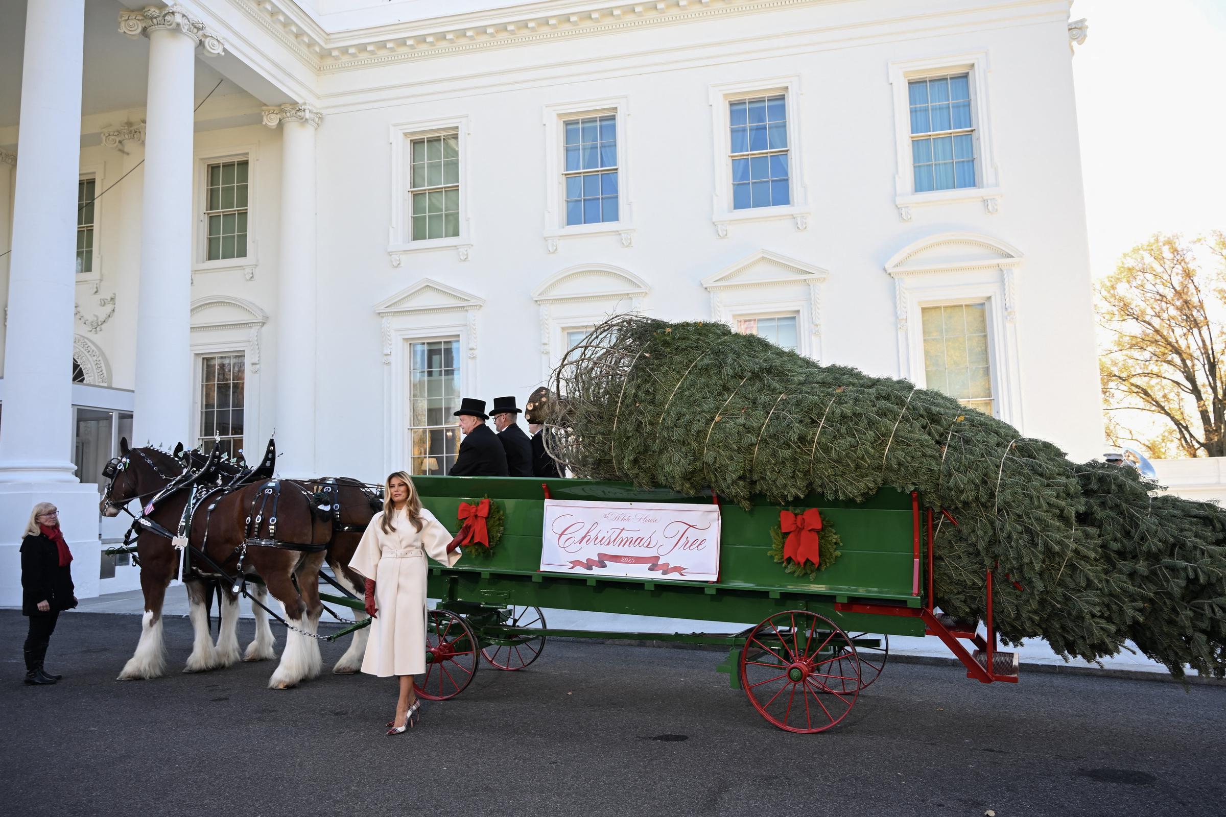 US First Lady Melania Trump welcomes the official Christmas Tree at the White House on November 24, 2025, in Washington, DC | Source: Getty Images