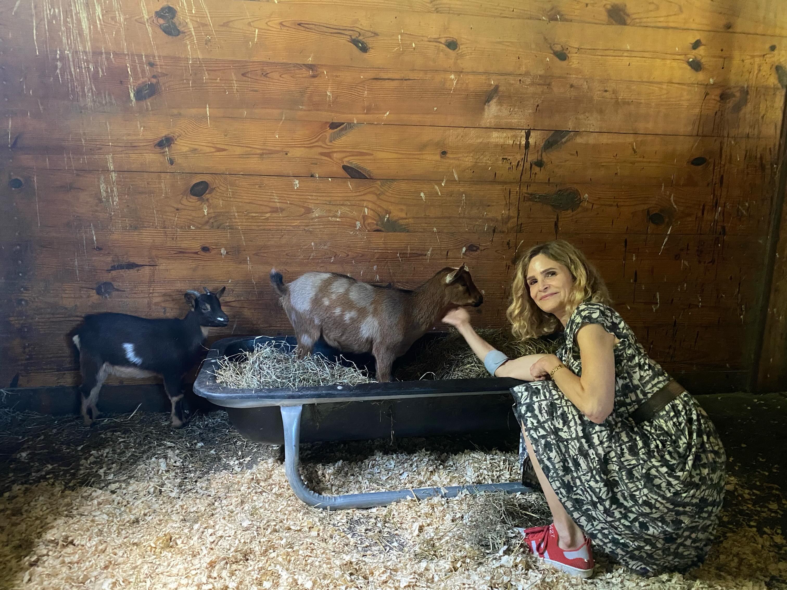 Two of the couple's goats were gifts from Bacon to Sedgwick. Their animals later became unexpected social-media costars, helping turn ordinary farm life into fan-favorite content.