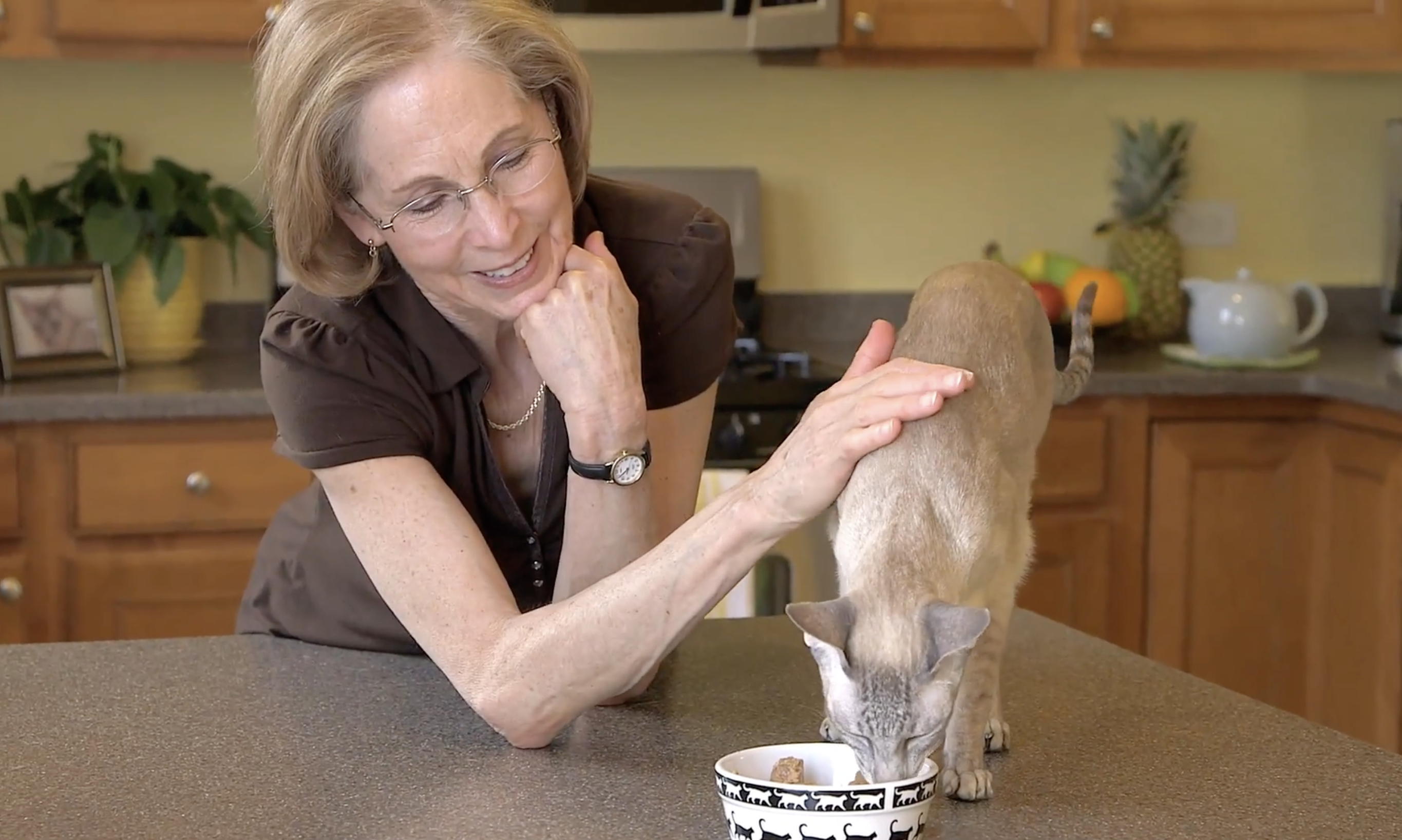 Rebecca Schmidt gently pets a cat as it eats in an undated video still, offering a personal glimpse of the veterinarian's affection for animals beyond the examination room.| Source: YouTube/ Northern Illinois Cat Clinic