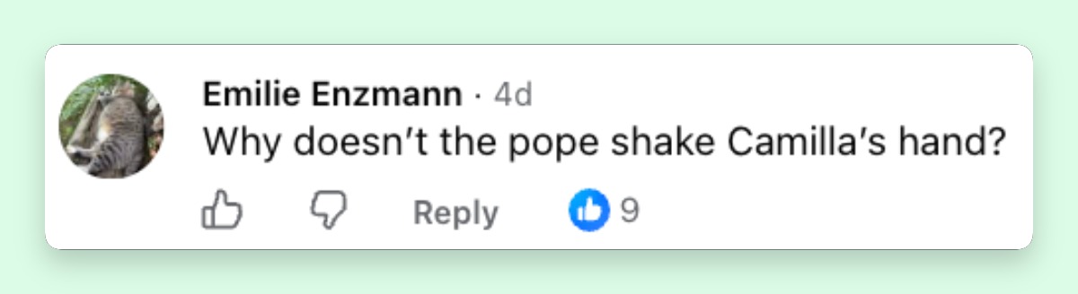 A social media user questioned the way the pope greeted Camila Alves during the Vatican encounter. | Source: Facebook/AP News