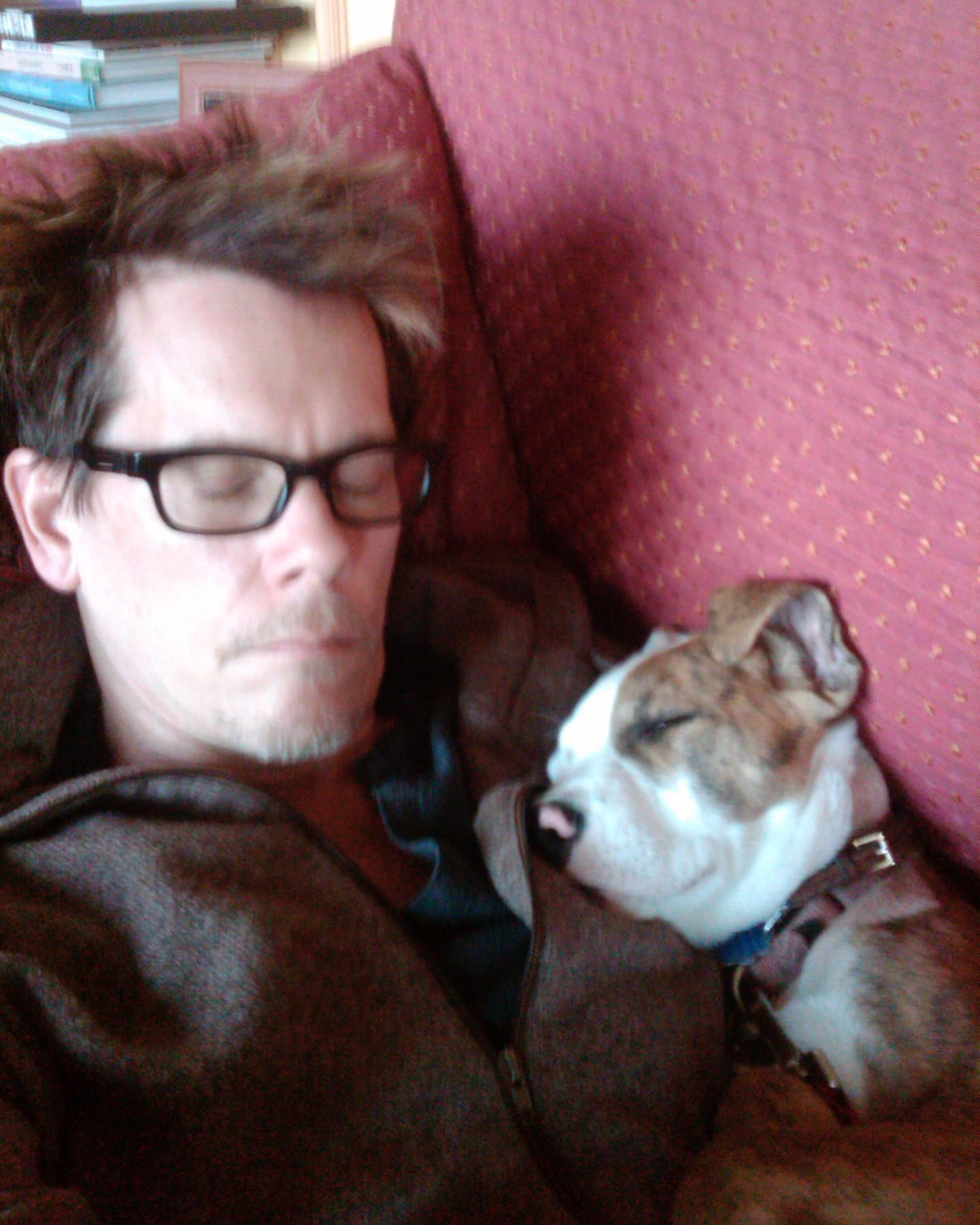 The farm Bacon once imagined as a solitary retreat became a shared family home filled with pets. That transformation mirrors how dramatically his original plan changed after meeting Sedgwick. | Source: Instagram/kevinbacon