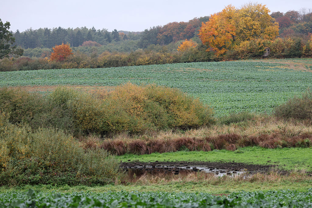 October 16, 2025, Mecklenburg-Vorpommern, Klein Upahl: A water hole in a field near Klein Upahl, where police had searched intensively for evidence the day before. | Source: Getty Images