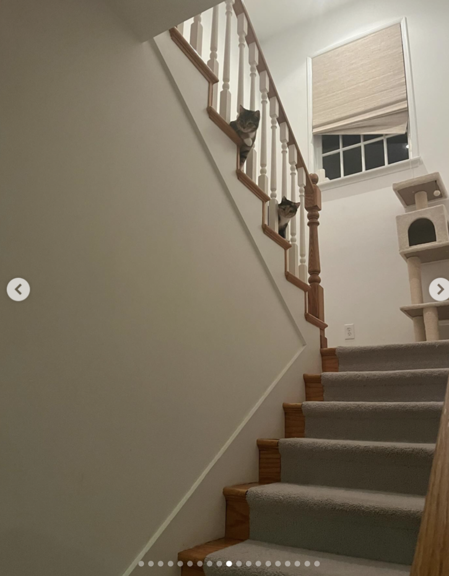 Two cats peek through the staircase railing, with another cat tower visible at the top of the stairs — one of the everyday scenes captured inside the house. | Source: Instagram/ Mabel Lowe