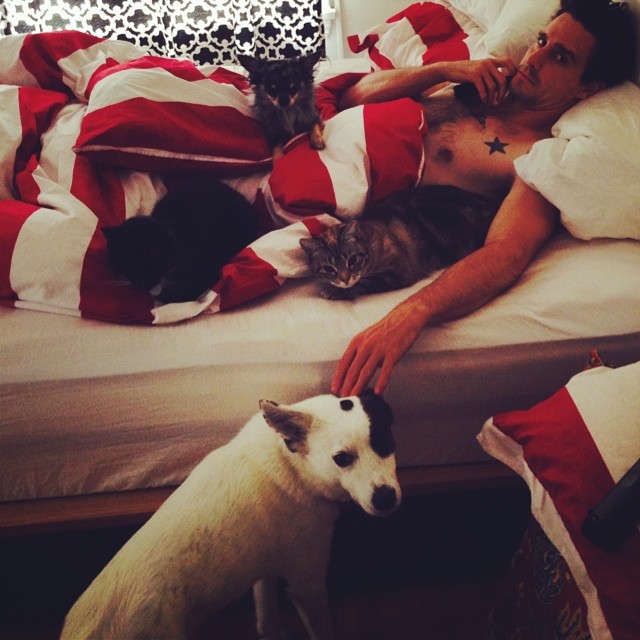 James Ransone lays on a bed as he is surrounded by pets, from a post dated June 15, 2014. | Source: Facebook/JamieMcphee