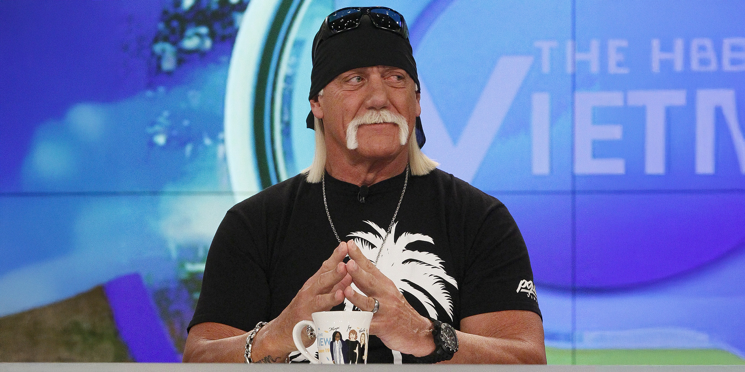 Hulk Hogan, 2016 | Source: Getty Images