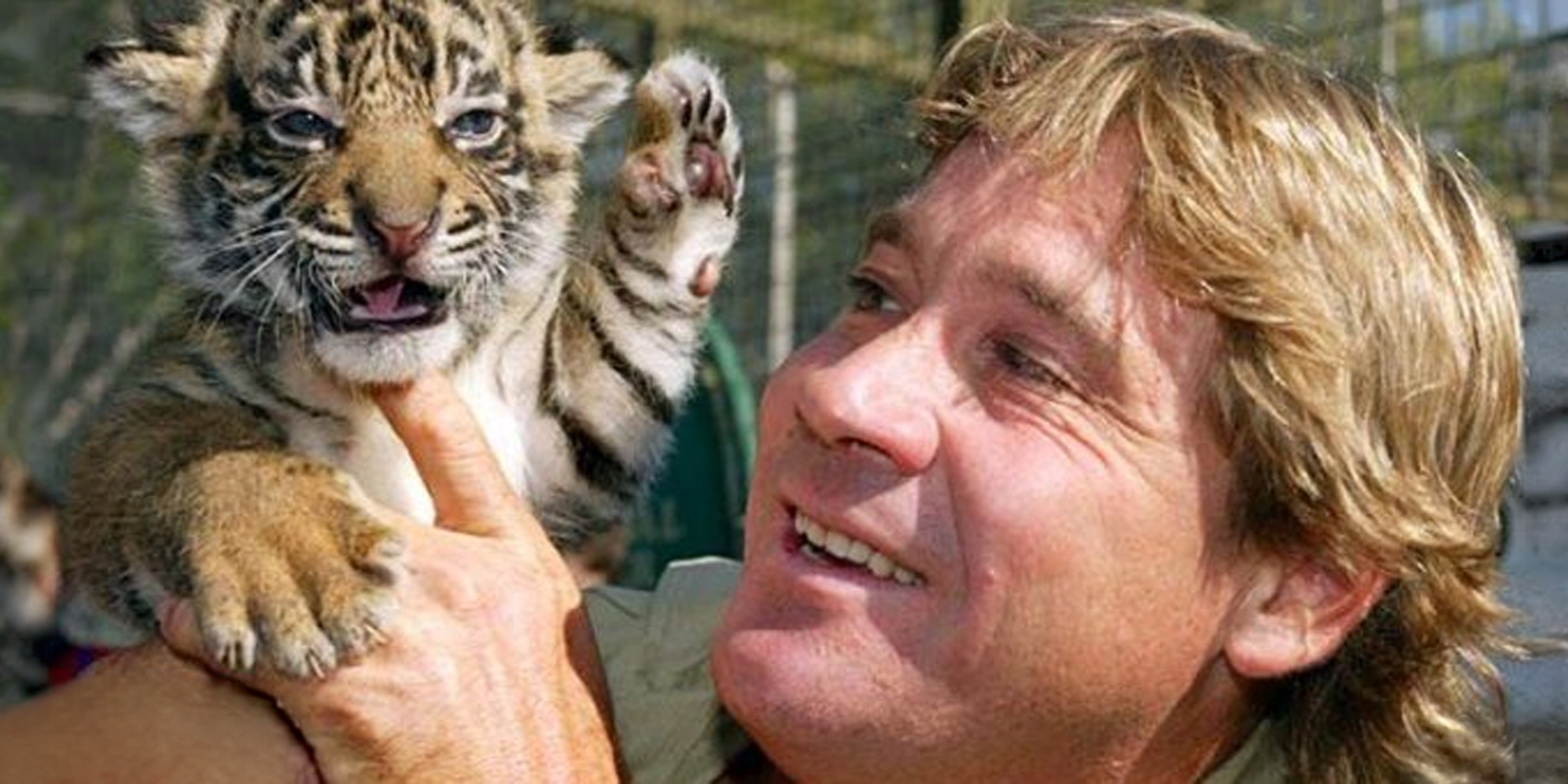Steve Irwin | Source: Getty Images