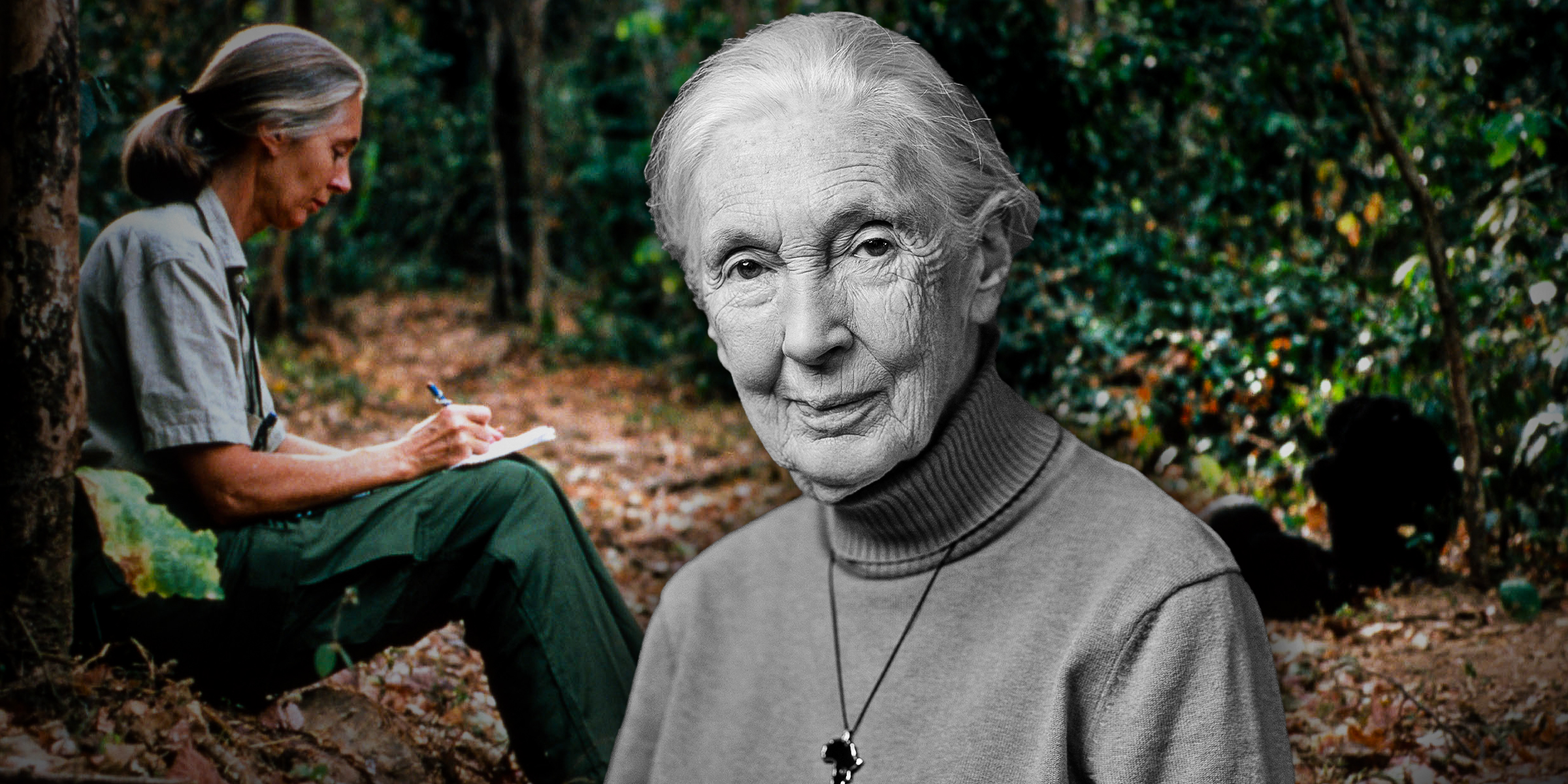 Jane Goodall | Source: Getty Images