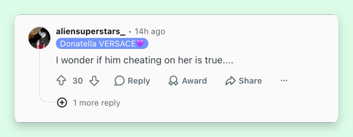 One commenter questioned whether the cheating rumors were true as fans continued searching for answers about Qualley and Antonoff's separation. | Source: Reddit/r/popculturechat