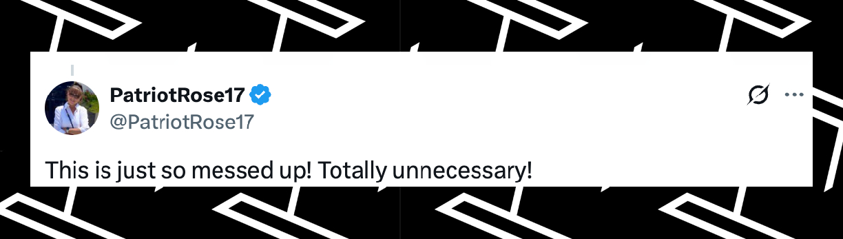A fan comments on Vivian Jenna Wilson's reaction to the Elon Musk and Donald Trump feud, dated June 2025 | Source: X/PatriotRose17