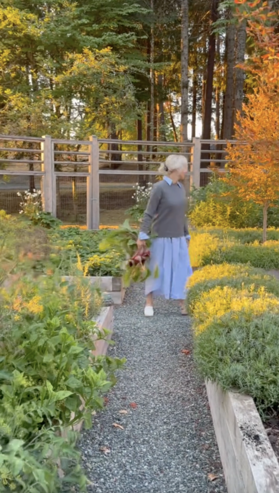 Pamela Anderson wanders down a gravel pathway between raised beds at Arcady, carrying a freshly harvested bunch of root vegetables. Dressed for a crisp coastal morning in a grey crewneck sweater layered over a light blue collared dress, she greets followers in her TikTok debut with the caption, "Good morning from the garden, TikTok… 🤍". | Source: TikTok/pamelaanderson