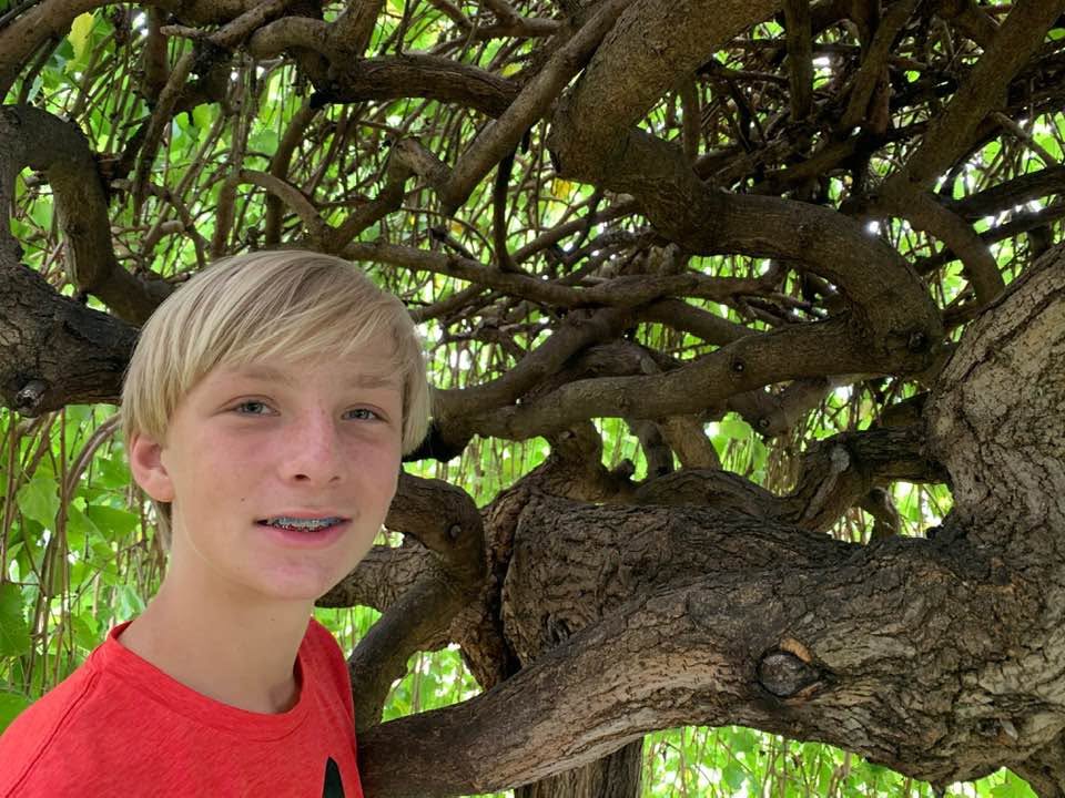 Nature appears again and again in Weston’s pictures, even before it became part of his academic and personal identity. His family said he loved being outside, whether it was a short walk, a small hike, or a trail found along the way. | Source: Facebook/Nancy Higginbotham