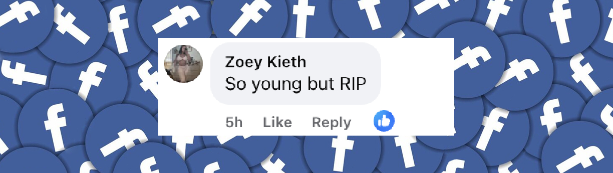A netizen's comment on Devin Harjes's death | Source: Facebook/CBS News