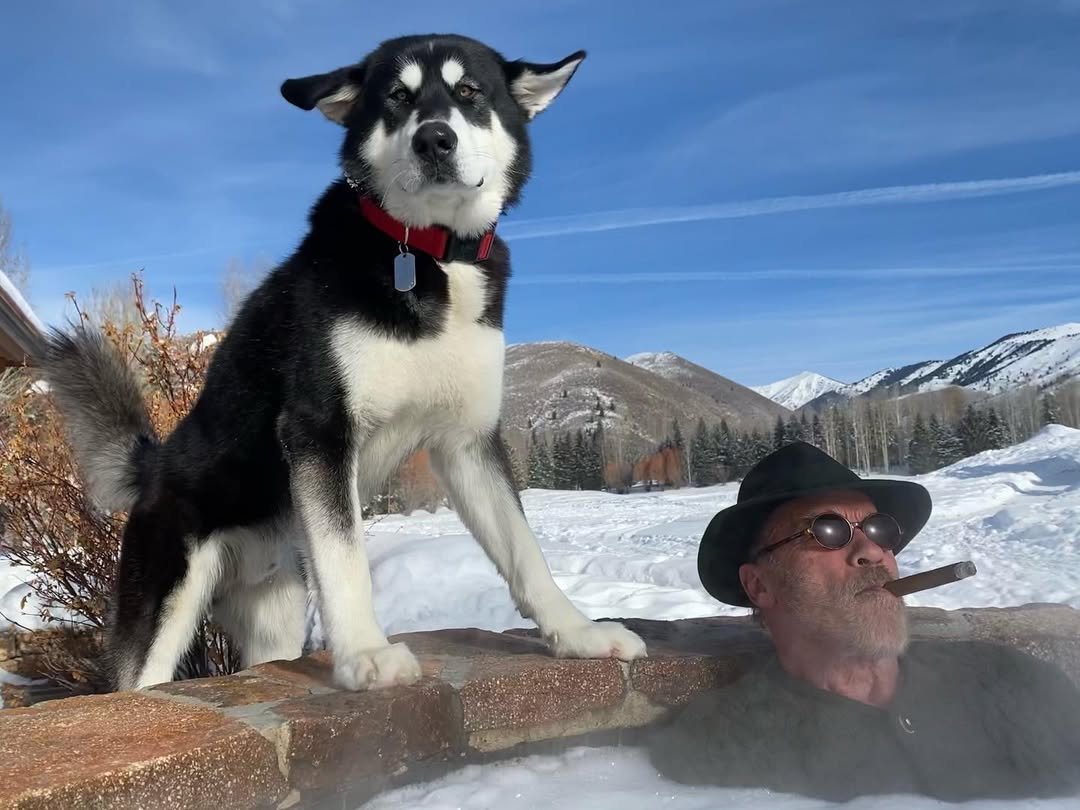 Arnold Schwarzenegger relaxes in a hot tub with his dog standing guard in a photo posted on January 2, 2021 | Source: Instagram/schwarzenegger