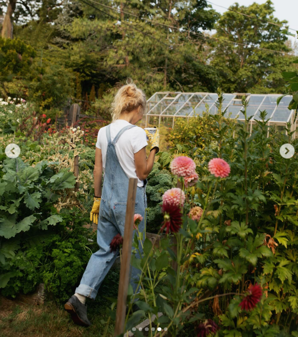 Walking past blooming pink dahlias and lush garden beds toward her estate greenhouse, Pamela Anderson holds a warm mug while dressed in denim overalls, a white T-shirt, and yellow floral gardening gloves. The behind-the-scenes shot from "Pamela's Cooking with Love" reflects her passion for farm-to-table living on Vancouver Island, celebrating her culinary venture as "a dream come true" in a heartfelt post to fans. | Source: Instagram/pamelaanderson
