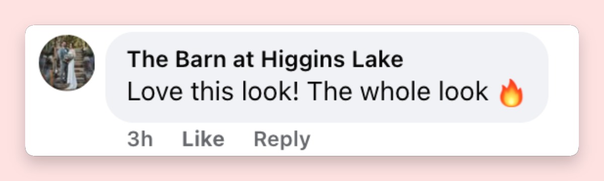 Fan comment about Lisa Rinna's Pre-Met Gala event appearance, posted on May 3, 2026. | Source: Facebook/Lisa Rinna