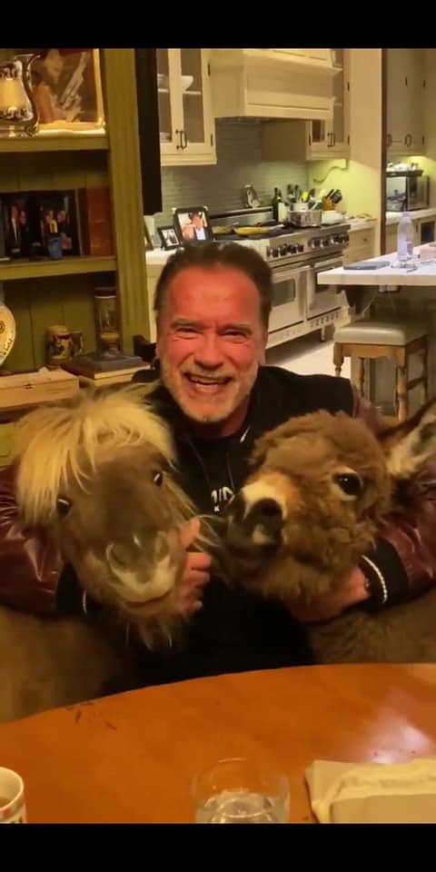 Arnold Schwarzenegger with his miniature horse and donkey in a photo posted on March 16, 2020 | Source: Facebook/arnold