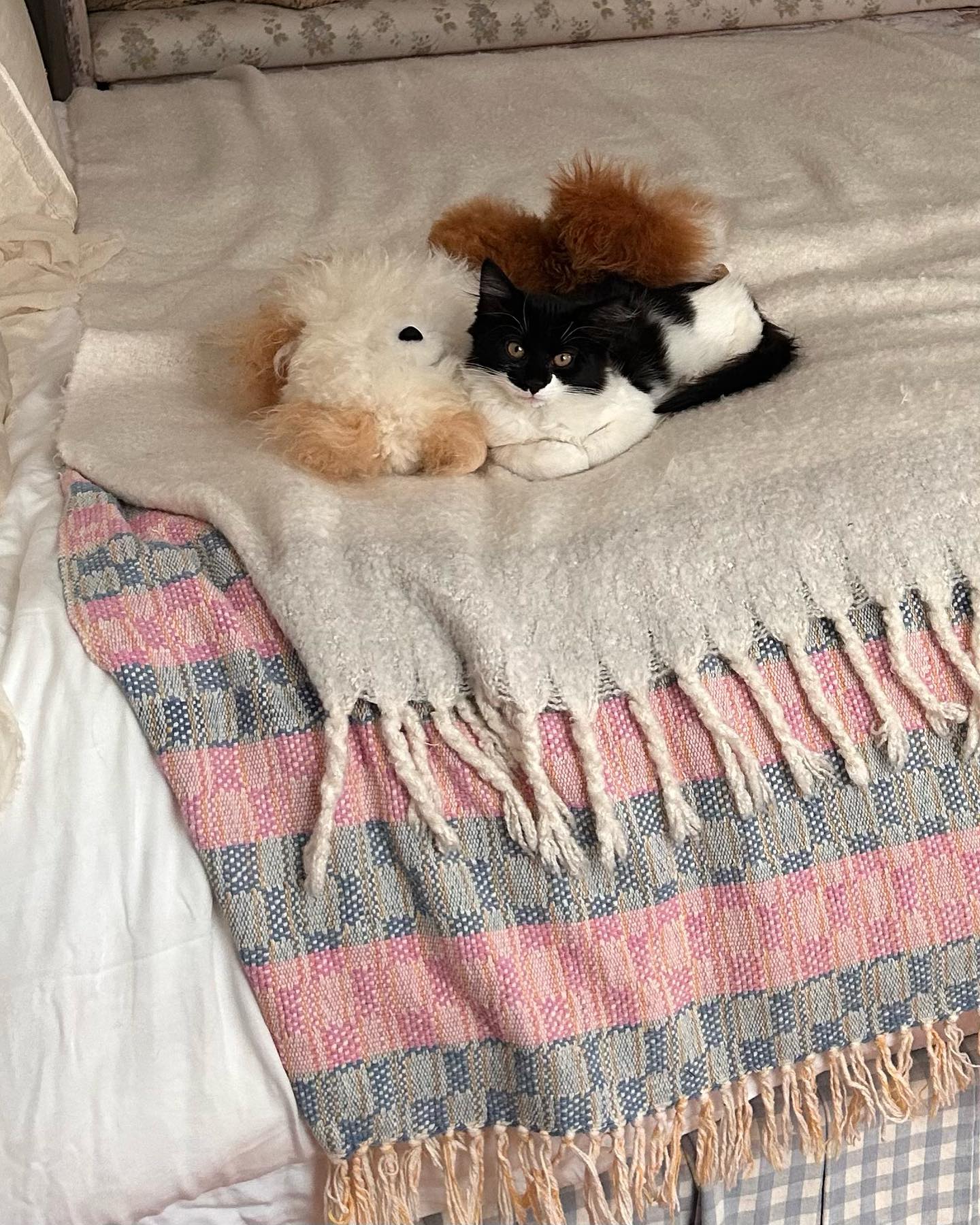 Maggie's posts regularly include affectionate glimpses of animals and home life. The personal photographs provide a contrast to the carefully designed interiors of her parents' luxury properties. | Source: Instagram/maggiemaymcgraw