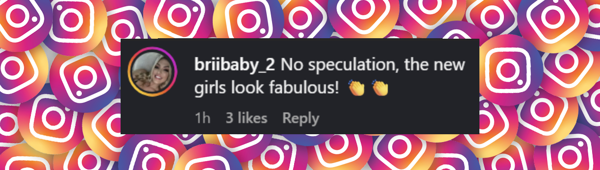 User comment dated July 2025. | Source: Instagram/pagesix