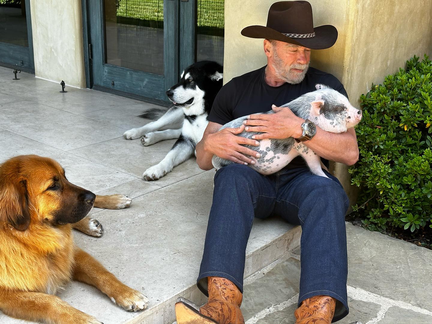 Arnold Schwarzenegger cradles his pig while relaxing with his dogs in a photo posted on July 8, 2023 | Source: Facebook/arnold