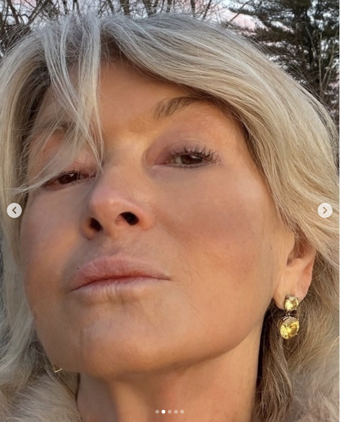 A closeup of Martha Stewart's face from a carousel post in January 2026 | Source: instagram/marthastewart