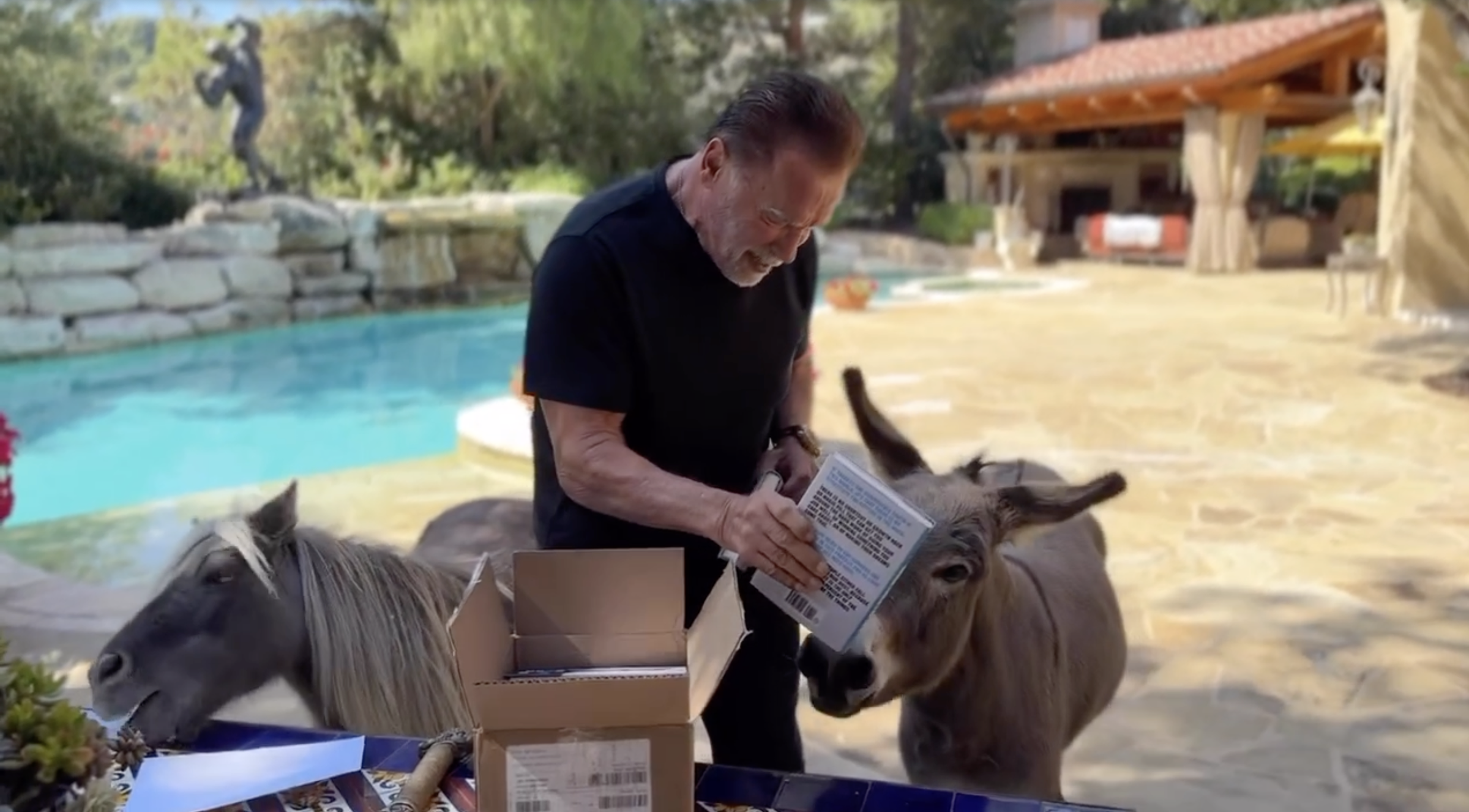 Arnold Schwarzenegger spends time with his miniature horse and donkey in a clip posted on October 3, 2023 | Source: Instagram/schwarzenegger
