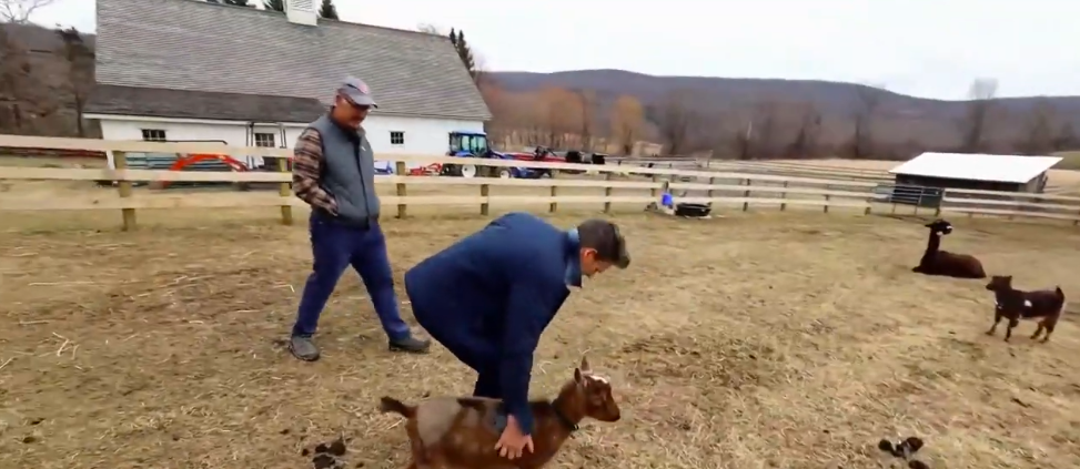 Bacon has described the animals as a source of calm, not simply part of the scenery. His affection for them is also the reason he says goat and pig disappeared from his diet.