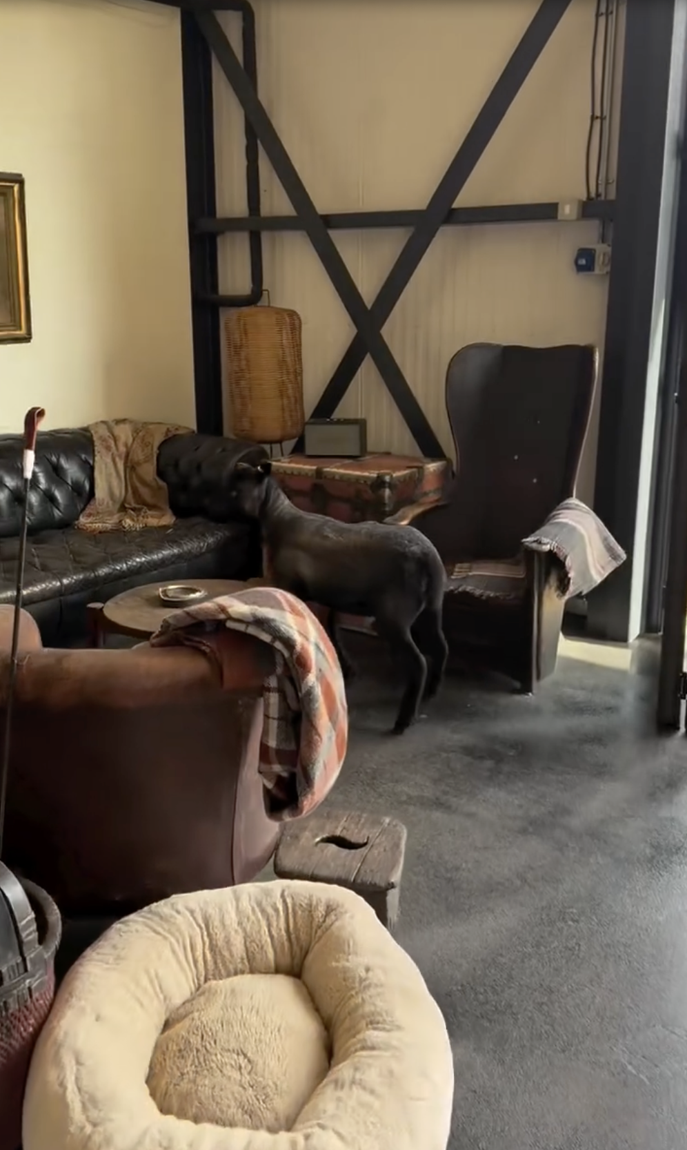 Inside Ellen DeGeneres and Portia de Rossi's home from a post dated May 30, 2025. | Source: Instagram/ellendegeneres