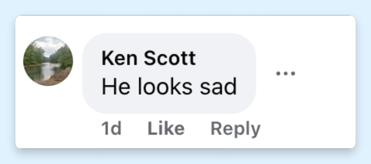 Netizens had tons to say about just about every celebrity who attended the wedding, but one in particular who left early looked defeated. | Source: Facebook/New York Post Entertainment