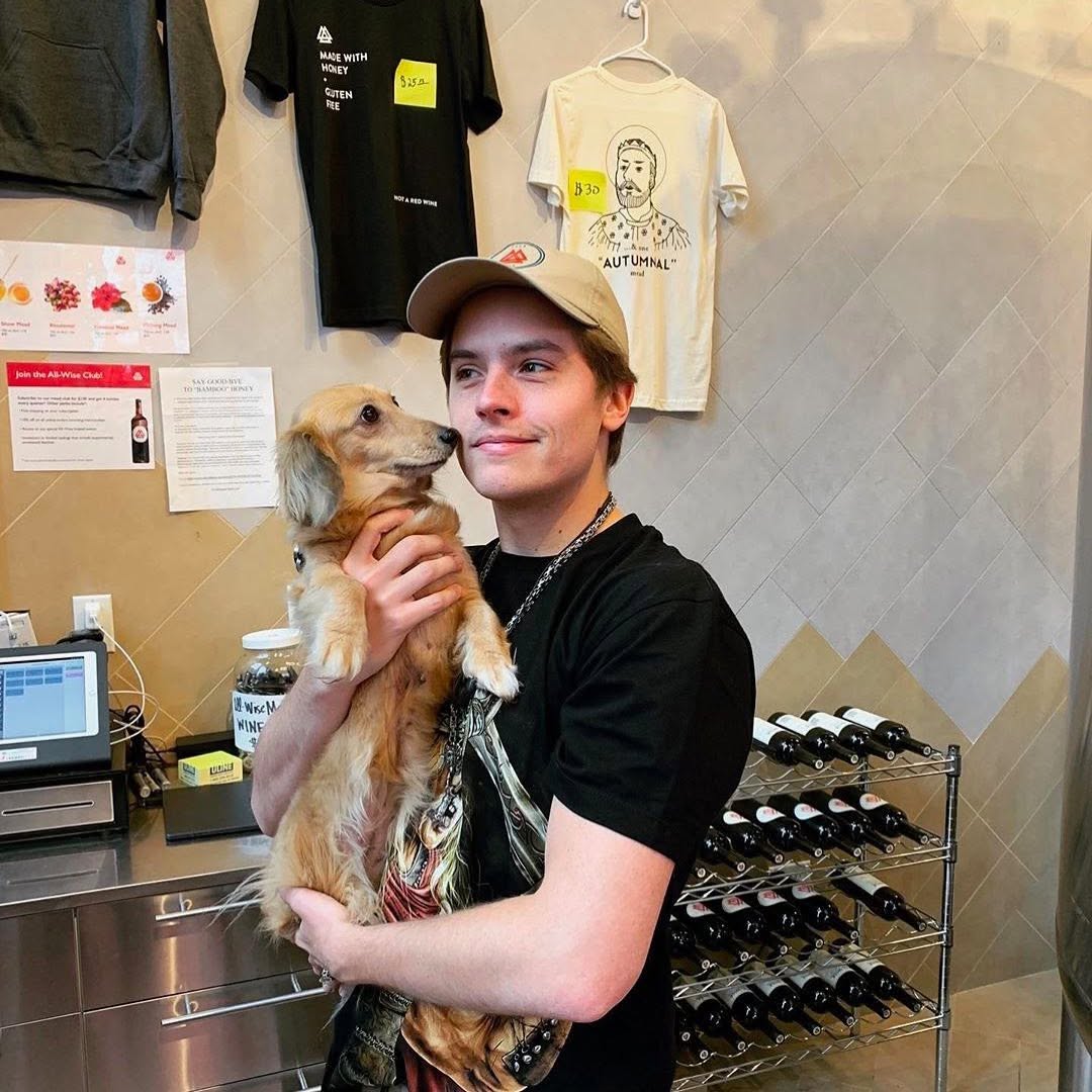 Dylan Sprouse holding a dog at his meadery and bar, posted on March 31, 2020. | Source: Instagram/allwisemeadery