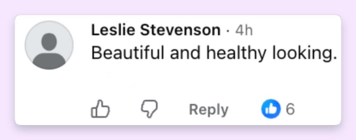 Another viewer praised Natalia's natural appearance, joining the positive reactions to her Victoria's Secret debut. | Source: Facebook / Extra