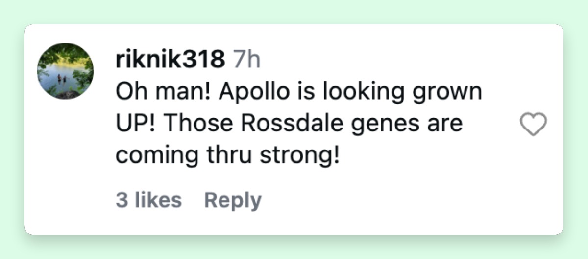 The comments immediately zeroed in on how much Apollo Rossdale has grown over the years, and his resemblance to his father stood out. Yet, he has also been compared to another man in Gwen Stefani's life. | Source: Instagram/gavinrossdale