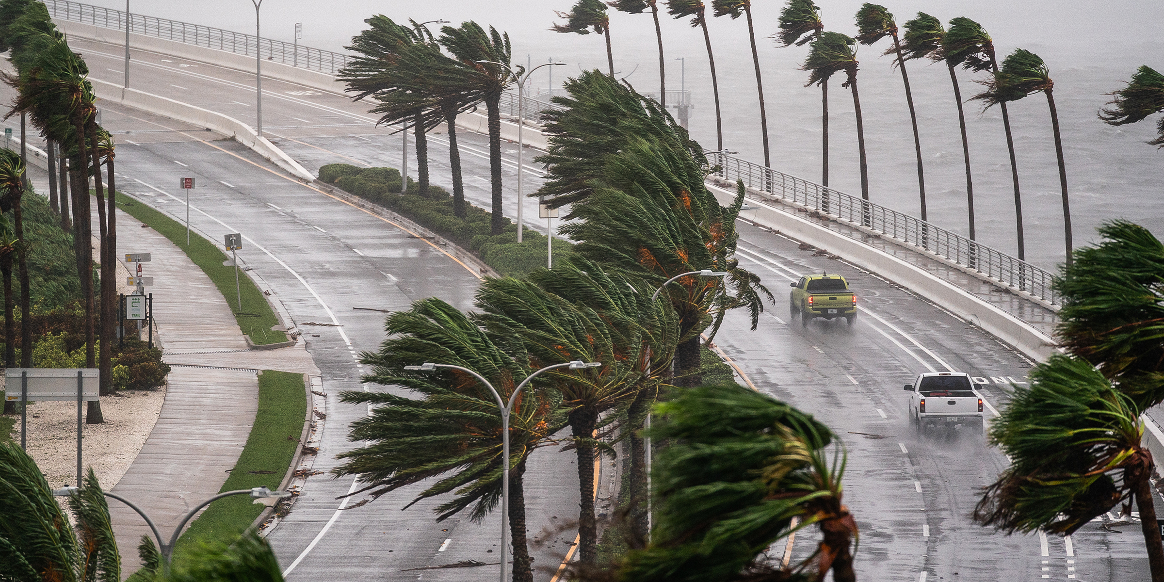 Strong winds bend palm trees as cars drive on a rain-soaked coastal road during a storm | Source: Getty Images