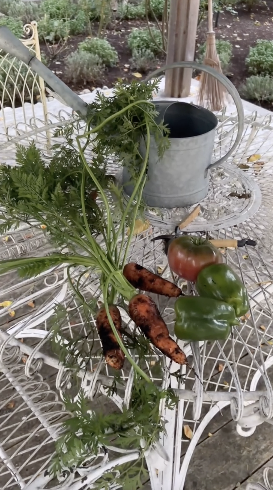 Freshly harvested garden vegetables rest on an ornate white wrought-iron patio table at Arcady, arranged alongside garden shears and a vintage galvanized watering can. Featuring leafy whole carrots, crisp green bell peppers, and a ripe heirloom tomato harvested during seasonal plot maintenance, the rustic scene captures the simple bounty of estate living. She captioned the TikTok post, "A beautiful fall morning from the garden… another clean up day 🤍🍁". | Source: TikTok/pamelaanderson