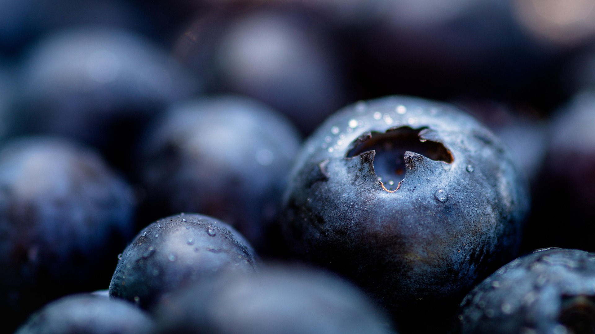 A bunch of moist blueberries | Source: Pixabay