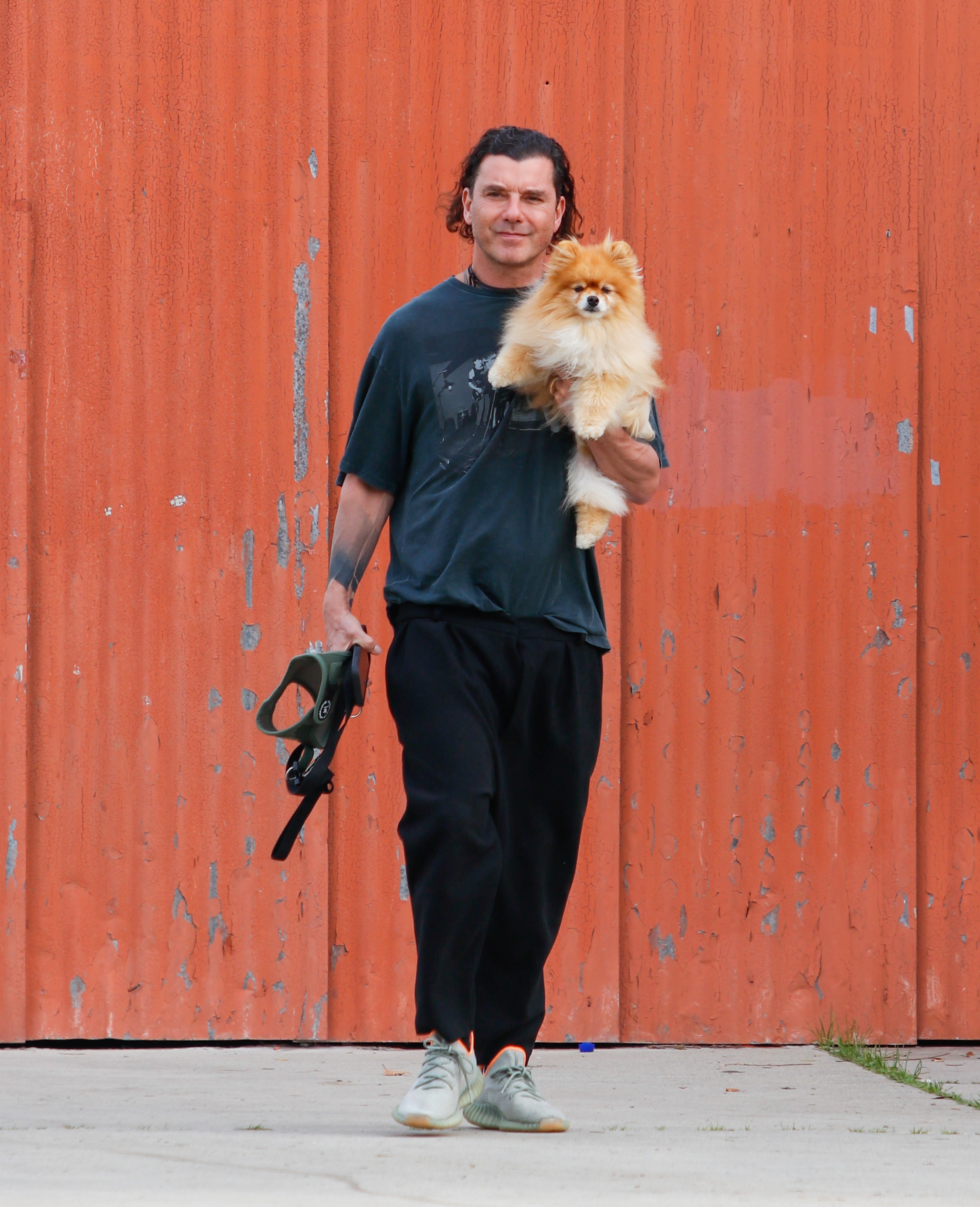 Gavin Rossdale carries a fluffy Pomeranian and a leash while out in Los Angeles, wearing a relaxed dark T-shirt, cropped black pants, and sneakers.