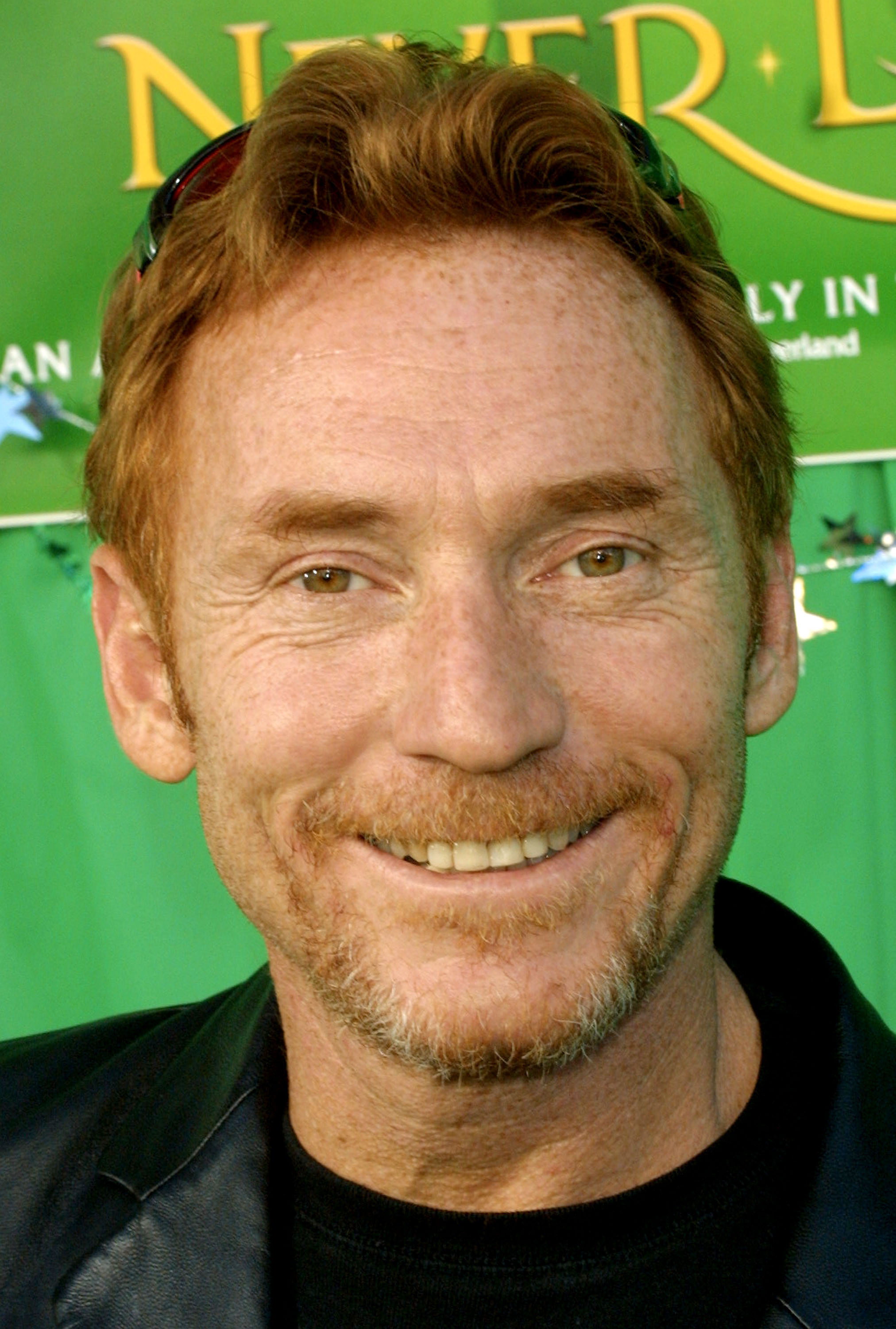 Danny Bonaduce at the premiere of "Return to Never Land" on February 10, 2002, in Los Angeles, California. | Source: Getty Images
