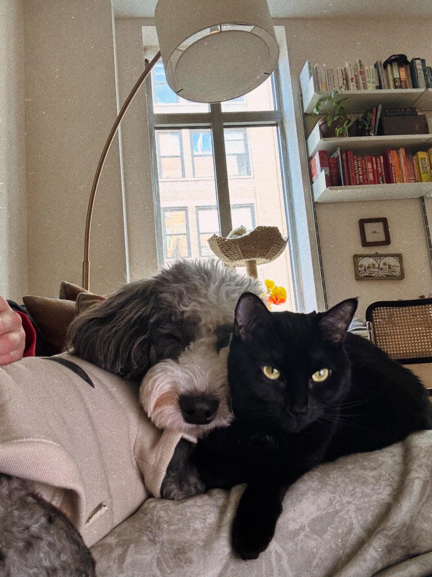 Maggie's Instagram photographs offer an intimate look at her surroundings without turning her home into a conventional celebrity house tour. They reflect the more private public presence she has maintained while developing her career. | Source: Instagram/maggiemaymcgraw