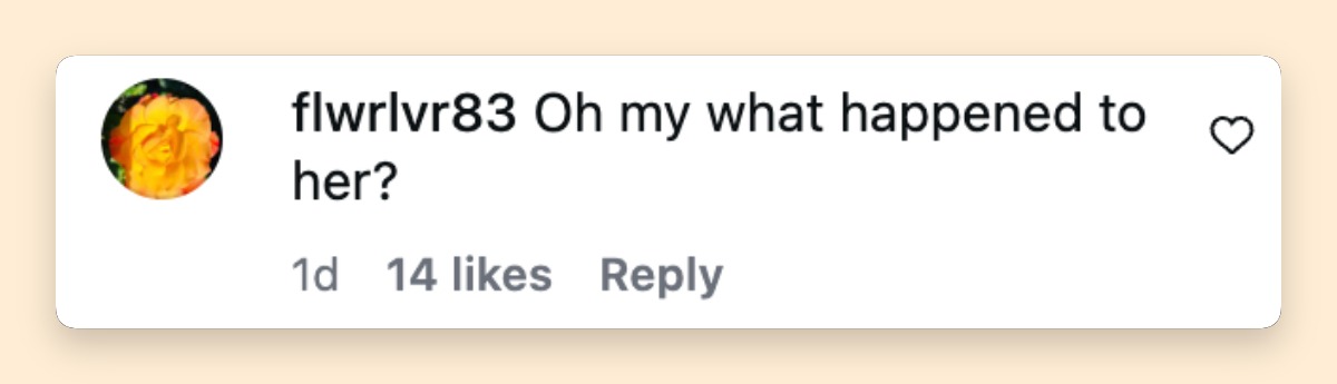 One online commenter was among many who questioned the celebrity's appearance after the post was shared. | Source: Instagram/tmztv