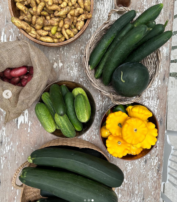 A rustic tabletop at Arcady displays an abundant summer harvest arranged in wooden bowls, woven baskets, and burlap sacks. Showcasing the rich variety grown on her Vancouver Island estate, the colorful bounty includes fingerling and red potatoes, crisp cucumbers, long green zucchini, and bright yellow pattypan squash. She shared the generous spread with the caption, "After a few hours spent in the garden - Today’s harvest is done 🤍". | Source: Instagram/pamelaanderson