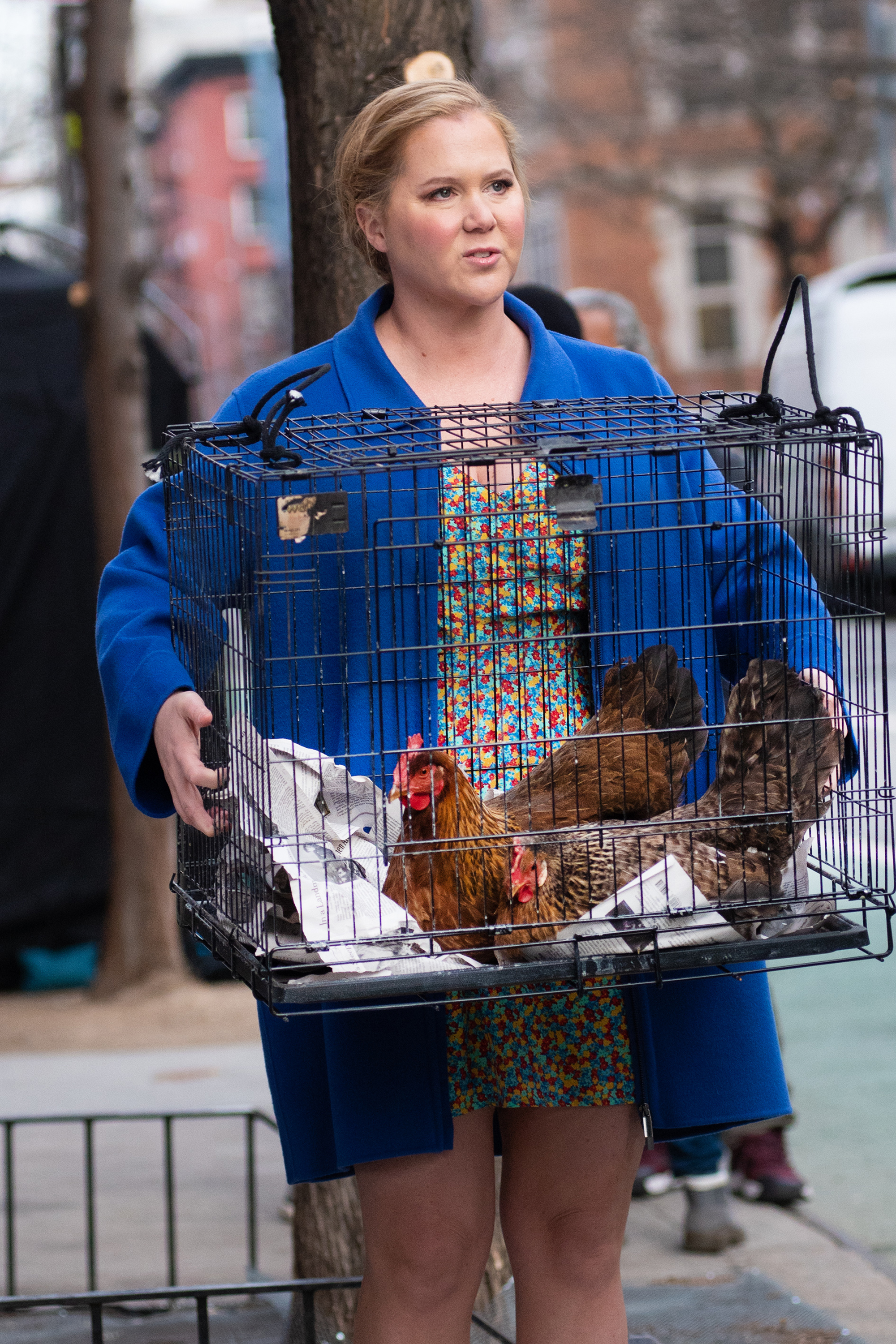 Amy Schumer carries a wire cage with chickens inside while filming a scene for "Life & Beth" in New York City. She wears a bright blue coat over a patterned dress with her hair tied up in a bun.