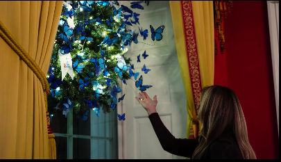 Melania Trump looking at the beautiful butterflies used to decorate one room in the White House. | Source: Facebook/First Lady Melania Trump