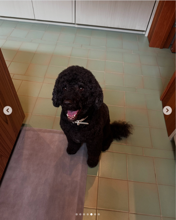 Sunny, the Obama family's beloved Portuguese Water Dog, sits inside the White House during her years with the family, when she became known for her lively personality and close bond with Bo. | Source: Instagram/barackobama