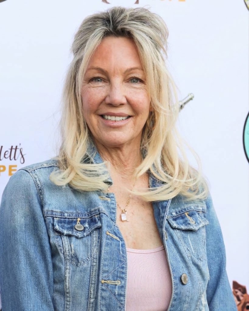 The AI-created counterpart presents an imagined version with a more textured complexion and softened facial contours. It should be viewed as an artistic alternative, not an indication that Locklear has altered those features surgically. | Source: Gemini