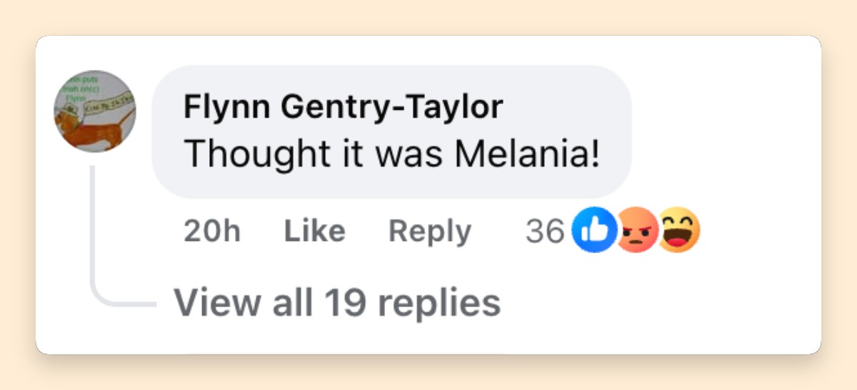 A netizen's comment about Heidi Klum at the Vanity Fair Oscars party on March 15, 2026 | Source: Facebook/CBS Mornings