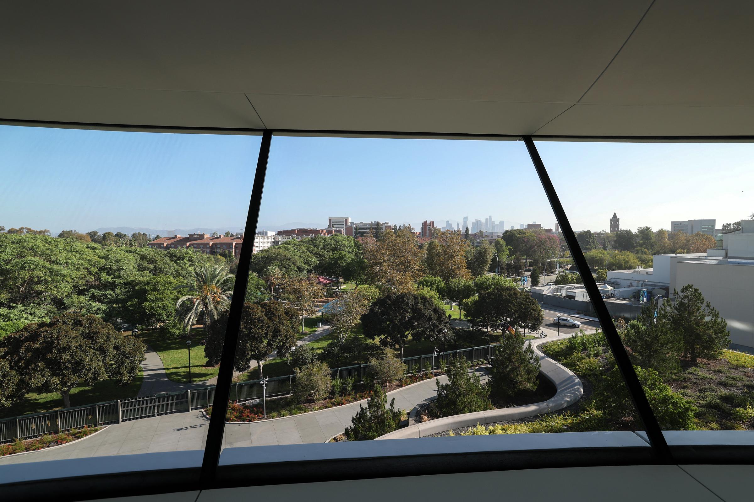 A view through the museum's large windows looks out across the landscaped grounds, where lawns, trees and winding paths surround the building. The green space forms part of the museum's 13-acre campus in Exposition Park. | Source: Getty Images