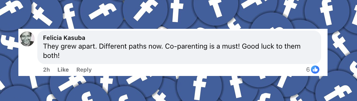 A fan comment dated July 3, 2025 | Source: Facebook/enews